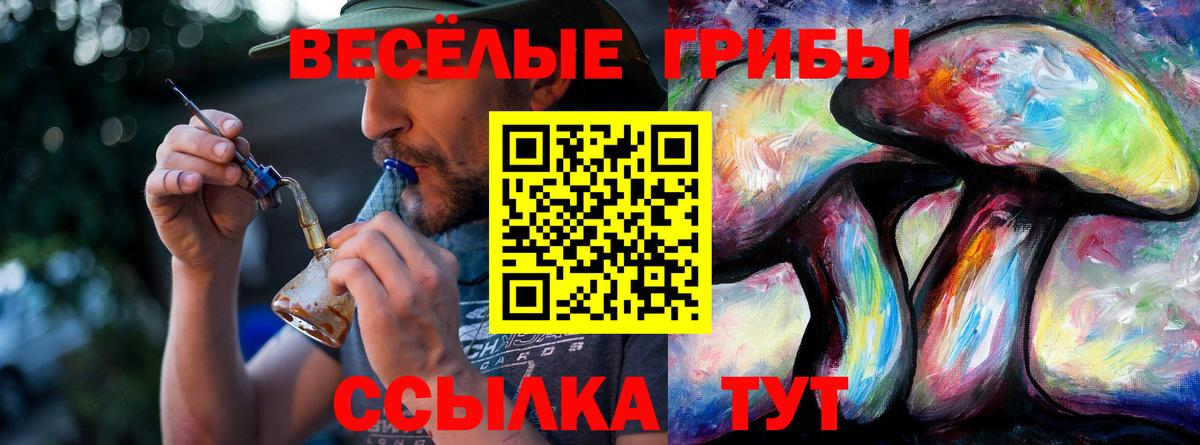 Псилоцибиновые грибы ЛСД  Вход с VPN  где купить наркоту  Ипатово  Псилоцибиновые грибы мухоморы 